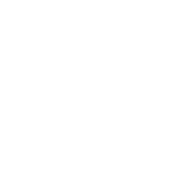 9 Oliveres