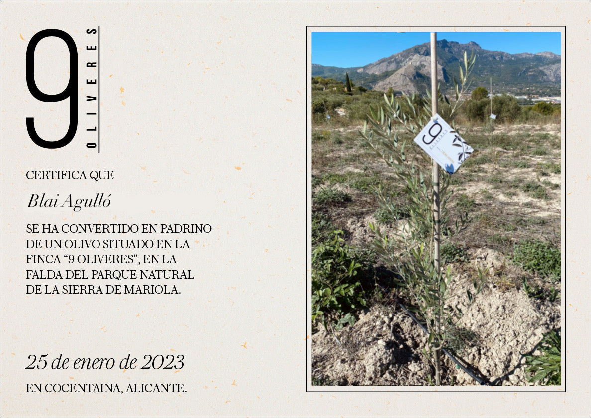 9 OLIVERES | ADOPT AN OLIVE TREE