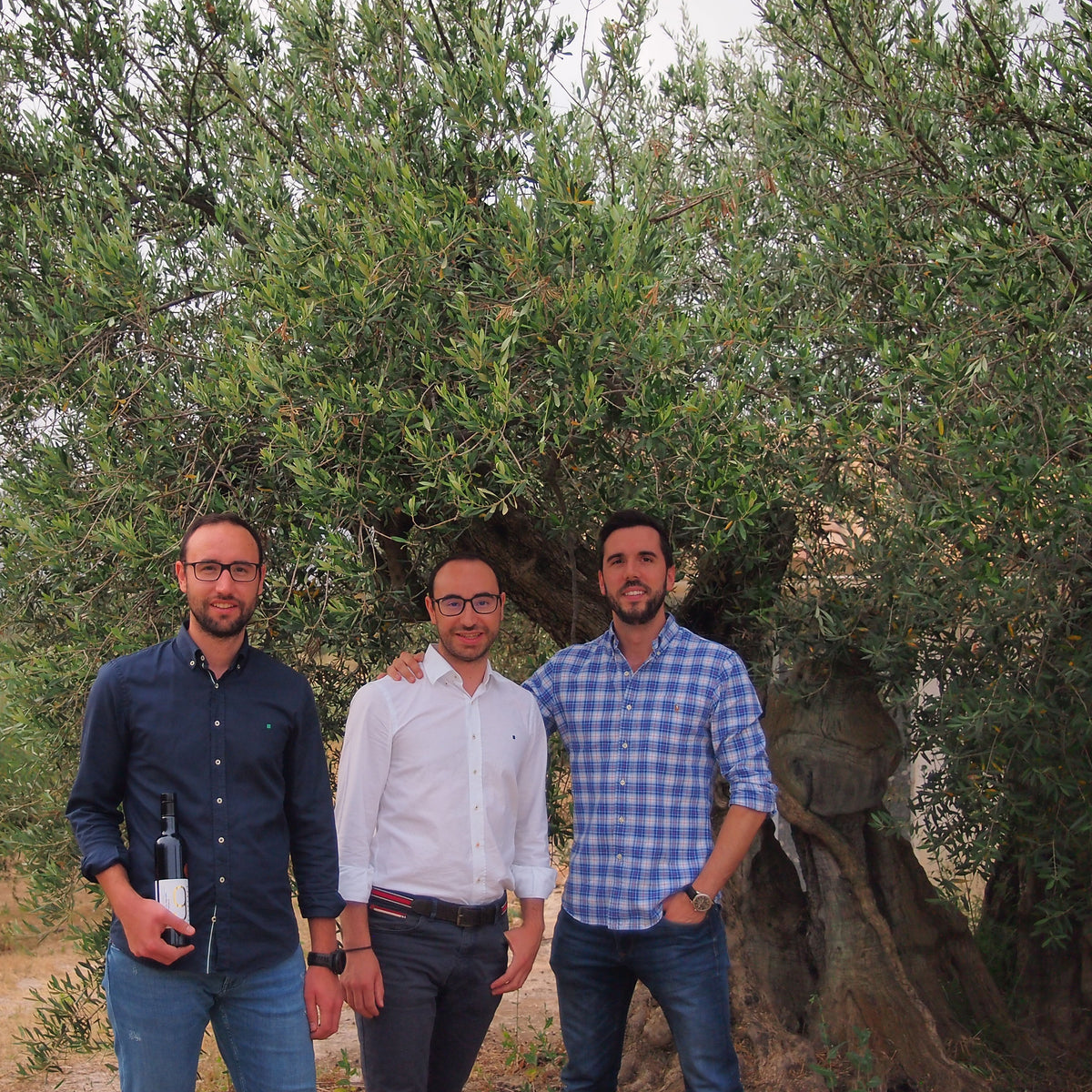 9 OLIVERES | 100% ALFAFARENCA | 6 x 500ML